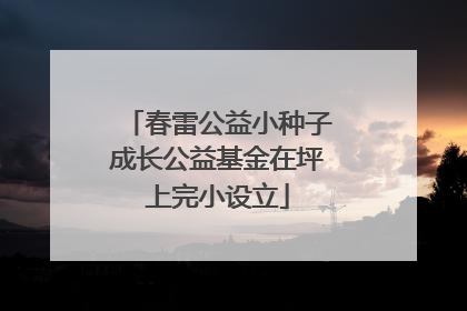 春雷公益小种子成长公益基金在坪上完小设立