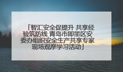 智汇安全促提升 共享经验筑防线 青岛市即墨区安委办组织安全生产共享专家现场观摩学习活动
