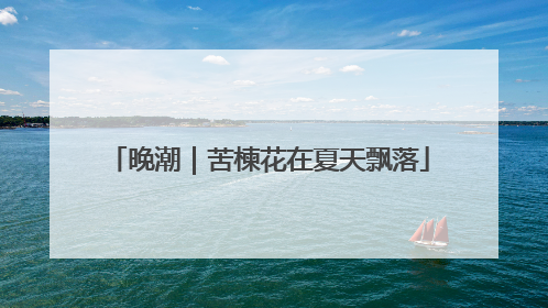 晚潮｜苦楝花在夏天飘落