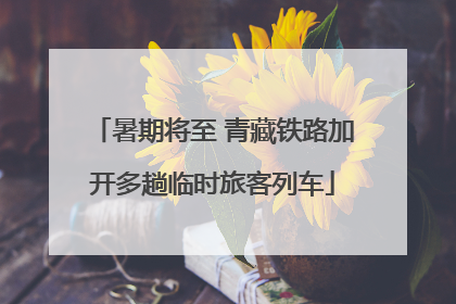 暑期将至 青藏铁路加开多趟临时旅客列车