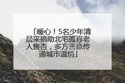 暖心！5名少年清晨采摘助北宅孤寡老人售杏，多方善意传递城市温情