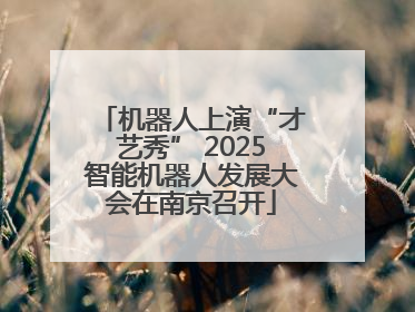 机器人上演“才艺秀” 2025智能机器人发展大会在南京召开