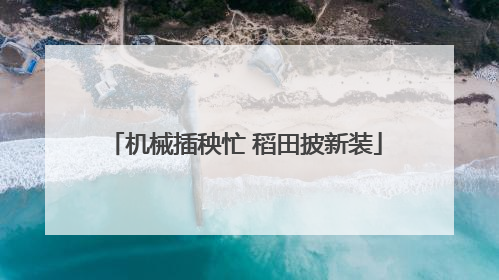 机械插秧忙 稻田披新装