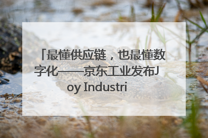最懂供应链，也最懂数字化——京东工业发布Joy Industrial 重塑工业未来