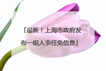最新！上海市政府发布一组人事任免信息