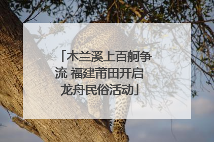 木兰溪上百舸争流 福建莆田开启龙舟民俗活动