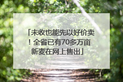 未收也能先以好价卖！全省已有70多万亩新麦在网上售出