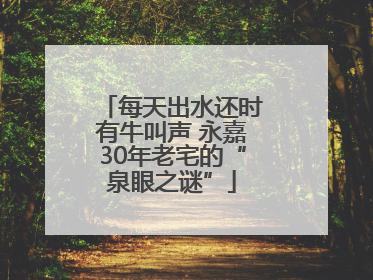 每天出水还时有牛叫声 永嘉30年老宅的“泉眼之谜”