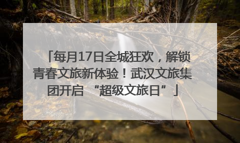 每月17日全城狂欢，解锁青春文旅新体验！武汉文旅集团开启 “超级文旅日”