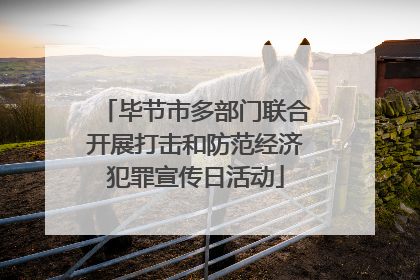 毕节市多部门联合开展打击和防范经济犯罪宣传日活动