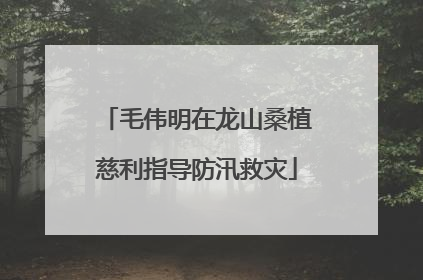 毛伟明在龙山桑植慈利指导防汛救灾