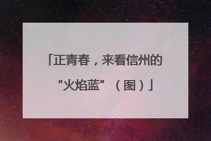 正青春，来看信州的“火焰蓝”（图）