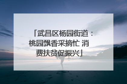 武昌区杨园街道：桃园飘香采摘忙 消费扶贫促振兴