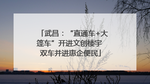 武昌：“直通车+大篷车”开进文创楼宇 双车并进惠企便民