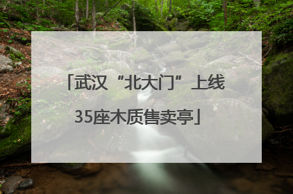 武汉“北大门”上线35座木质售卖亭