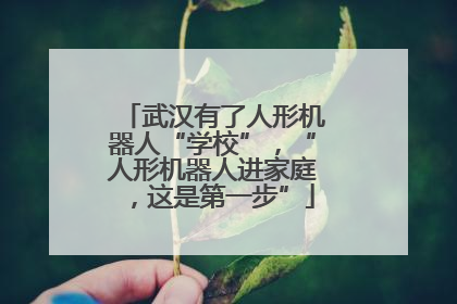 武汉有了人形机器人“学校”，“人形机器人进家庭，这是第一步”