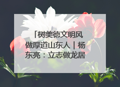 树美德文明风 做厚道山东人｜杨东亮：立志做龙居的“小丸童”