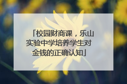 校园财商课，乐山实验中学培养学生对金钱的正确认知