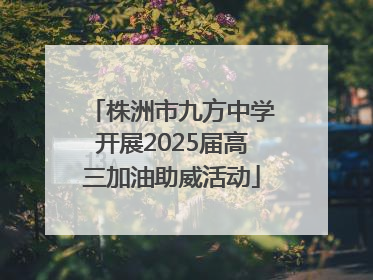 株洲市九方中学开展2025届高三加油助威活动