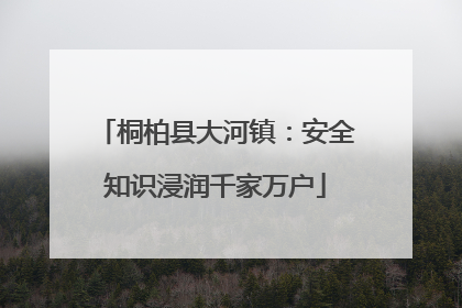 桐柏县大河镇：安全知识浸润千家万户