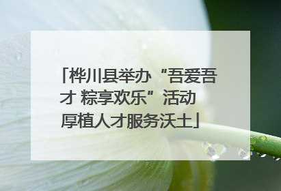 桦川县举办“吾爱吾才 粽享欢乐”活动 厚植人才服务沃土