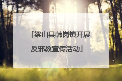 梁山县韩岗镇开展反邪教宣传活动