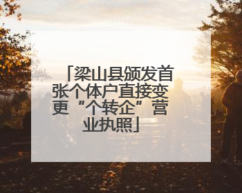 梁山县颁发首张个体户直接变更“个转企”营业执照
