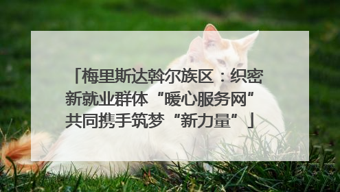 梅里斯达斡尔族区：织密新就业群体“暖心服务网”共同携手筑梦“新力量”