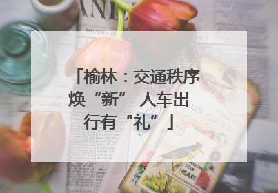 榆林：交通秩序焕“新” 人车出行有“礼”