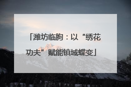 潍坊临朐：以“绣花功夫”赋能镇域蝶变