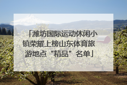 潍坊国际运动休闲小镇荣耀上榜山东体育旅游地点“精品”名单
