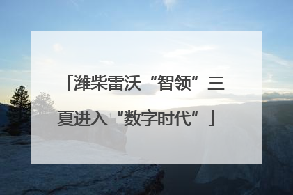 潍柴雷沃“智领”三夏进入“数字时代”