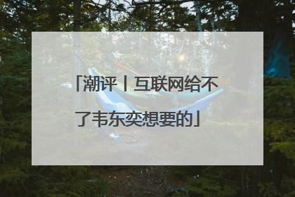 潮评丨互联网给不了韦东奕想要的