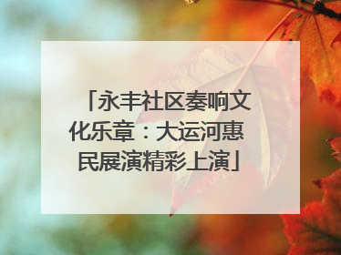 永丰社区奏响文化乐章：大运河惠民展演精彩上演