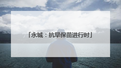 永城：抗旱保苗进行时