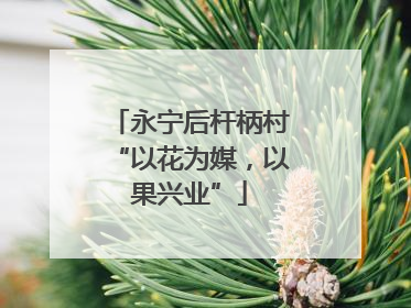 永宁后杆柄村“以花为媒，以果兴业”