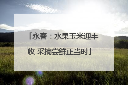 永春：水果玉米迎丰收 采摘尝鲜正当时
