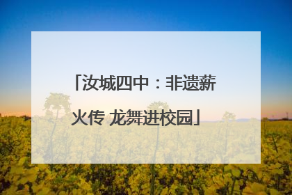 汝城四中：非遗薪火传 龙舞进校园
