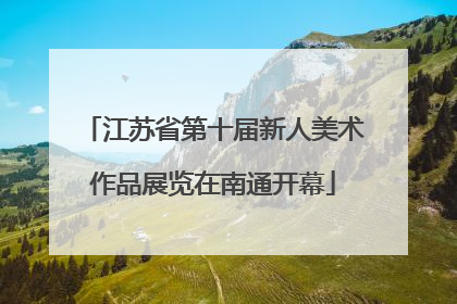 江苏省第十届新人美术作品展览在南通开幕