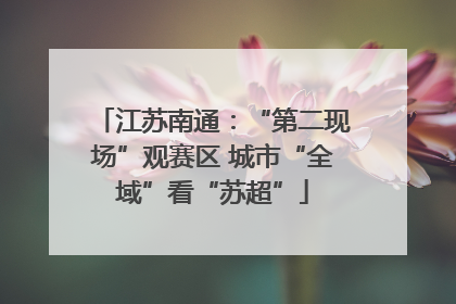江苏南通：“第二现场”观赛区 城市“全域”看“苏超”