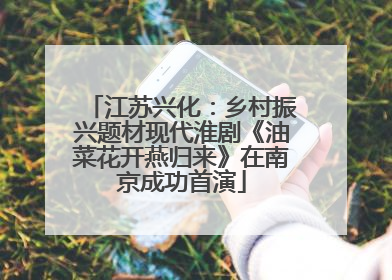 江苏兴化：乡村振兴题材现代淮剧《油菜花开燕归来》在南京成功首演