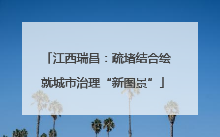 江西瑞昌：疏堵结合绘就城市治理“新图景”