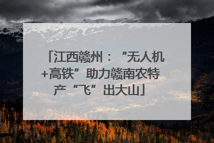 江西赣州：“无人机+高铁”助力赣南农特产“飞”出大山