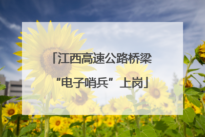 江西高速公路桥梁“电子哨兵”上岗