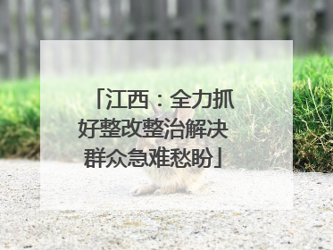 江西：全力抓好整改整治解决群众急难愁盼