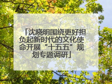 沈晓明围绕更好担负起新时代的文化使命开展“十五五”规划专题调研