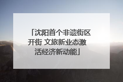 沈阳首个非遗街区开街 文旅新业态激活经济新动能