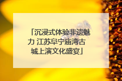 沉浸式体验非遗魅力 江苏阜宁庙湾古城上演文化盛宴