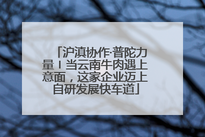 沪滇协作·普陀力量〡当云南牛肉遇上意面，这家企业迈上自研发展快车道
