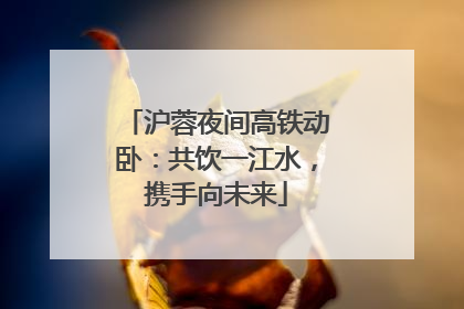 沪蓉夜间高铁动卧：共饮一江水，携手向未来